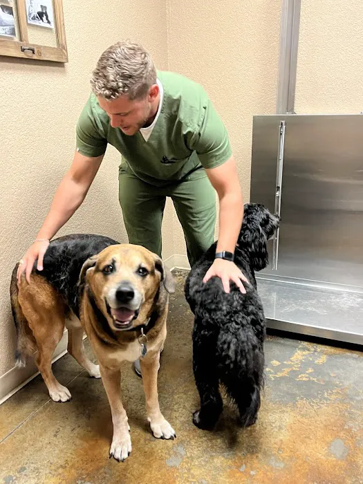 Lake Parkway Animal Hospital Picture 6