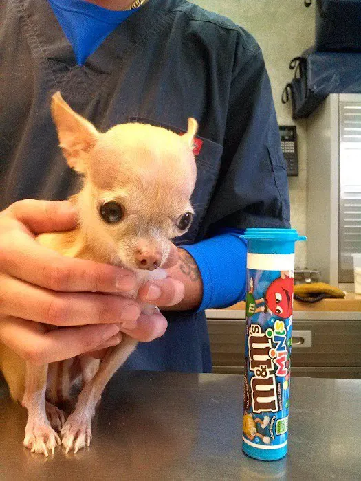 Loop 494 Animal Hospital Picture 9