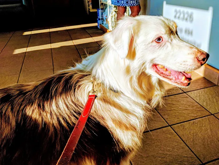 Loop 494 Animal Hospital Picture 3