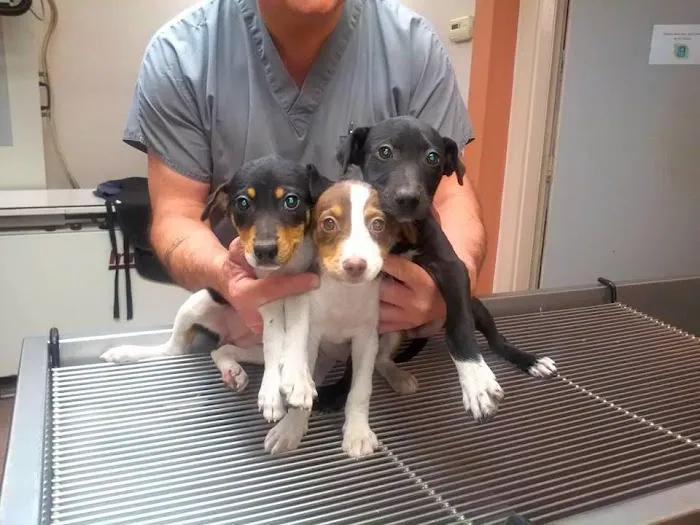 Loop 494 Animal Hospital Picture 7