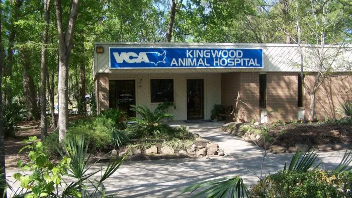 VCA Kingwood Animal Hospital Picture 7