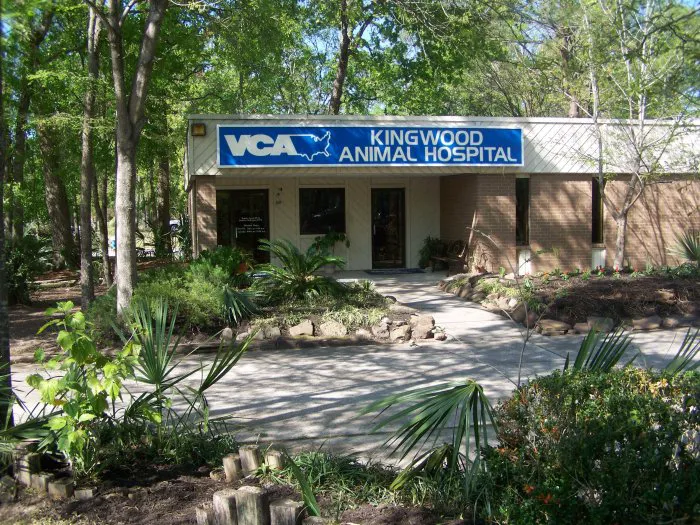 VCA Kingwood Animal Hospital Picture 3