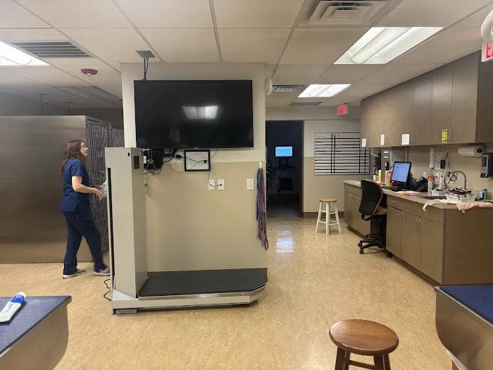VCA Kingwood Animal Hospital Picture 8