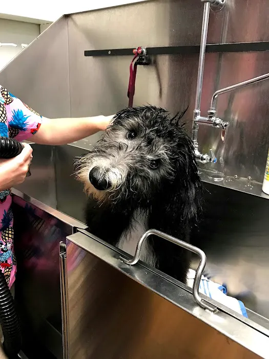 Tlc Animal Hospital: Richardson Katherine DVM Picture 9