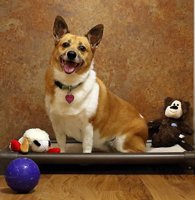 TLC Animal Hospital Picture 8