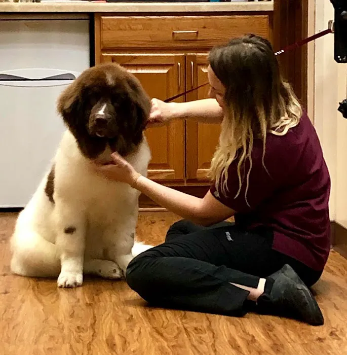 TLC Animal Hospital Picture 5