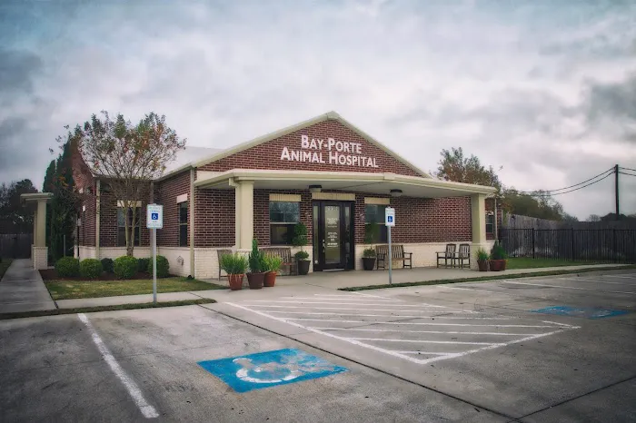 Bay-Porte Animal Hospital Picture 6