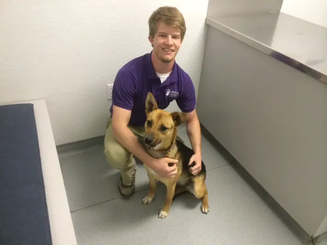 Animal Clinic of La Porte Picture 5