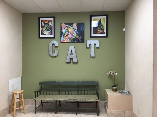 Family Animal Hospital of Friendswood Picture 10