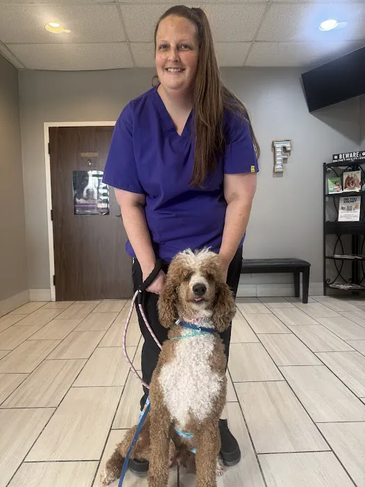 Friendswood Animal Clinic Picture 4