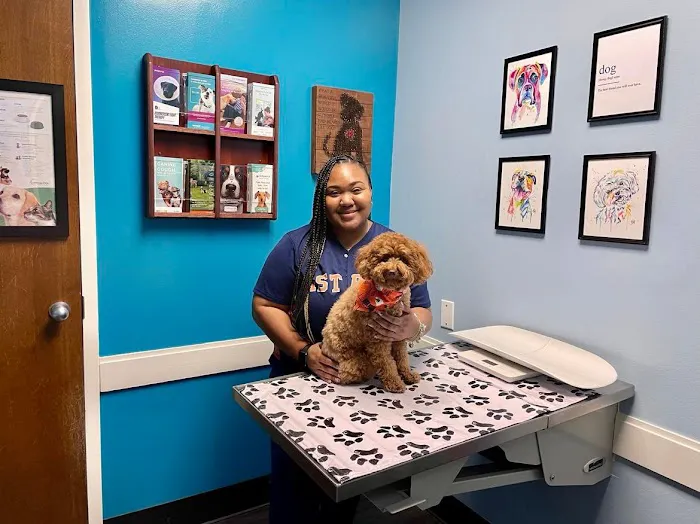 Clear Lake City Veterinary Clinic Picture 6
