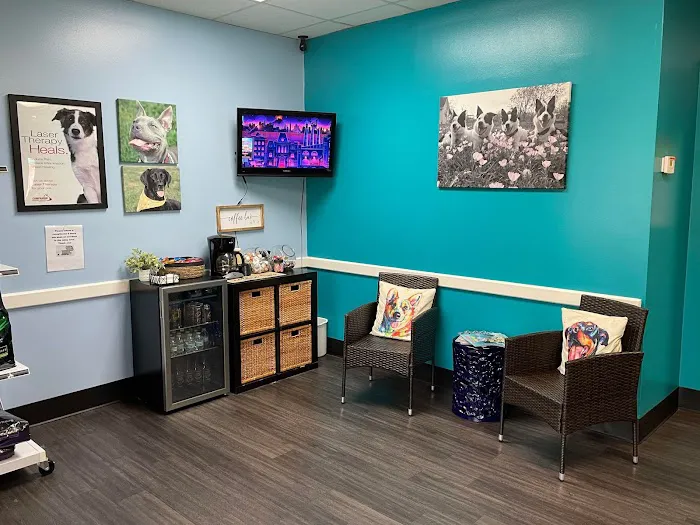 Clear Lake City Veterinary Clinic Picture 7
