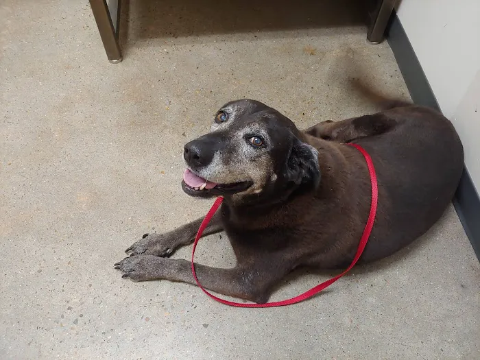 Vetco Total Care Animal Hospital Picture 2