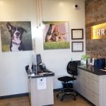 Vetco Total Care Animal Hospital