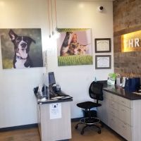 Vetco Total Care Animal Hospital ico