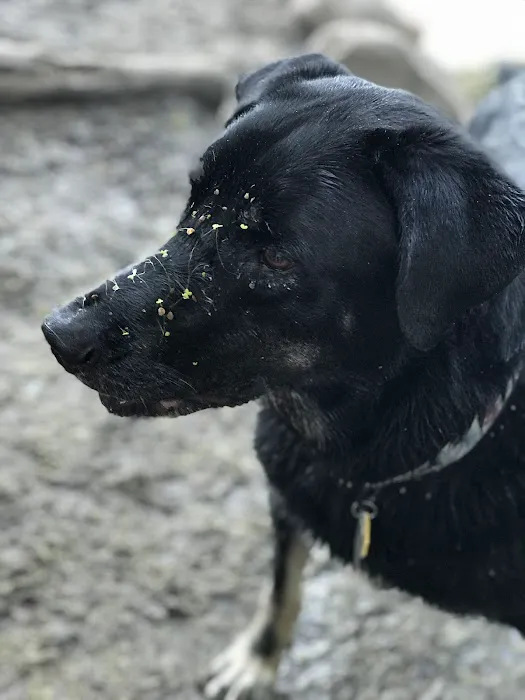 Vetco Total Care Animal Hospital Picture 7