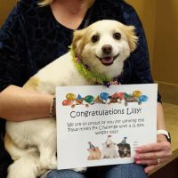 Parkwood Animal Hospital & Boarding ico