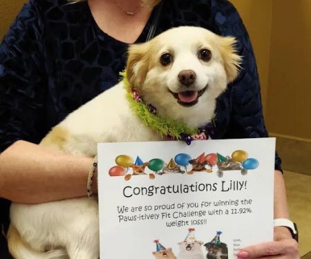 Parkwood Animal Hospital & Boarding