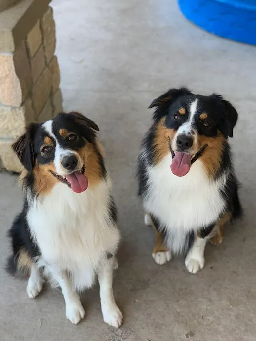 Parkwood Animal Hospital & Boarding Picture 5