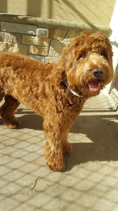 Parkwood Animal Hospital & Boarding Picture 2