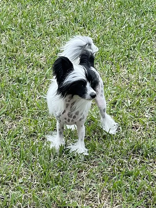 Banfield Pet Hospital Picture 5