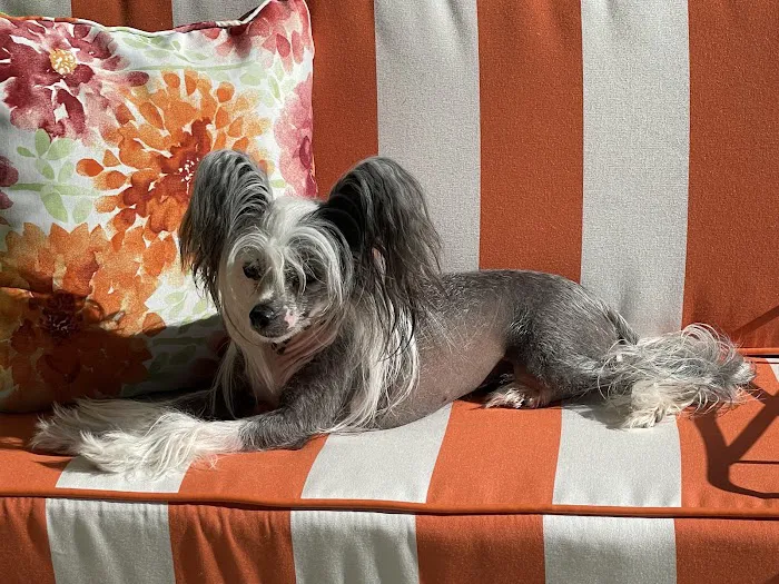 Banfield Pet Hospital Picture 9