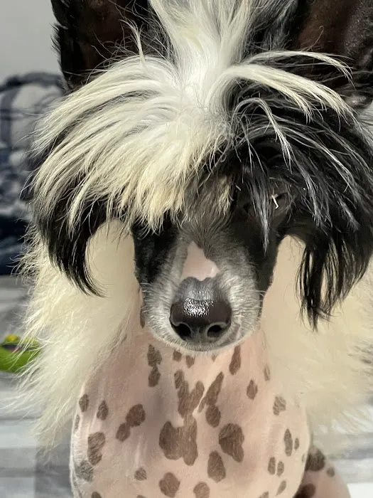 Banfield Pet Hospital Picture 8