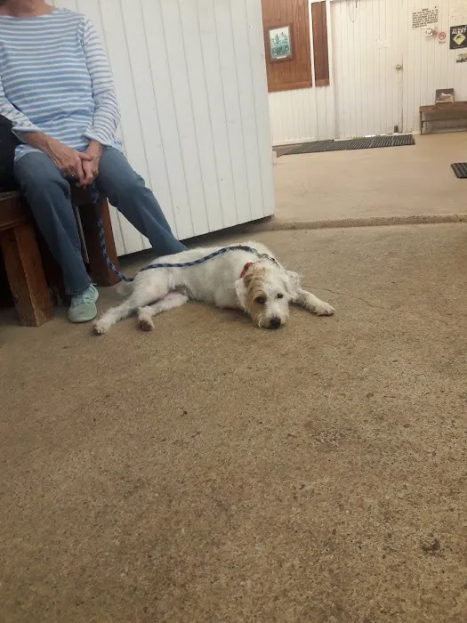 Abel Veterinary Services Picture 9