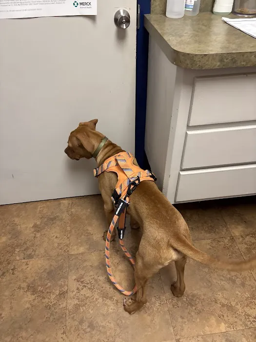 Neighborhood Veterinary Centers - NASA Picture 3