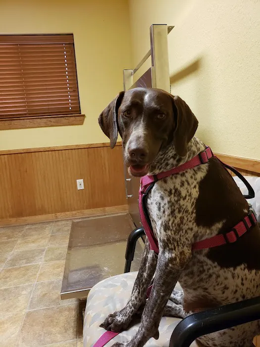 Manvel Animal Clinic Picture 7