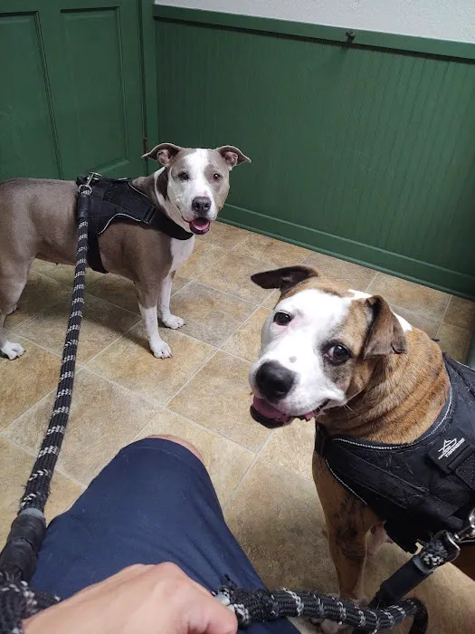 Manvel Animal Clinic Picture 8