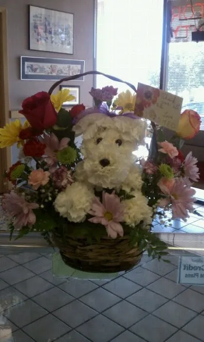 All About Pets Picture 5