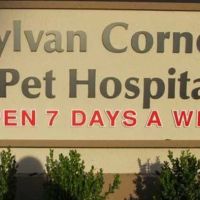 Sylvan Corners Pet Hospital ico