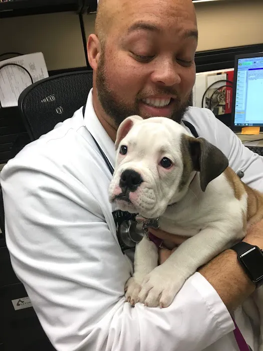 Sylvan Corners Pet Hospital Picture 3
