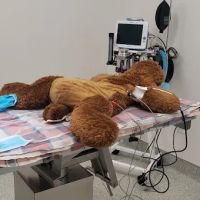 Rancho Pet Hospital ico