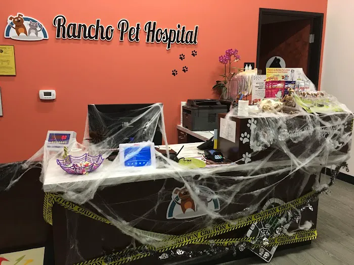 Rancho Pet Hospital Picture 7