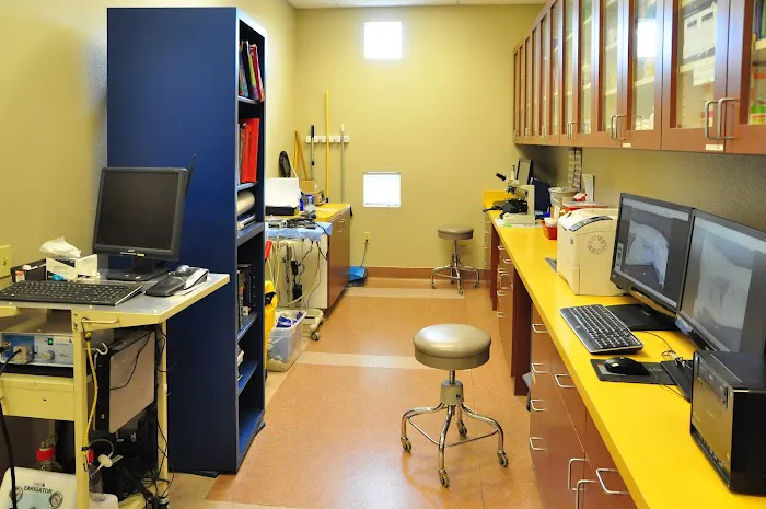 Franklin Ranch Pet Hospital and Hotel Picture 8