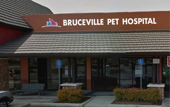 Bruceville Pet Hospital Picture 4