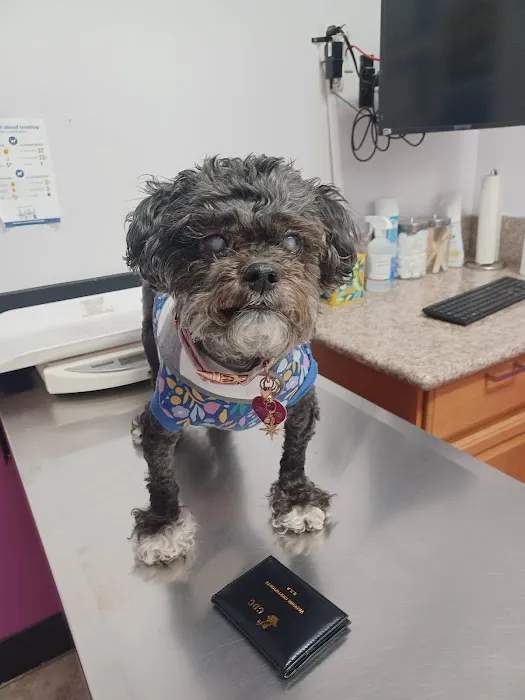 Bruceville Pet Hospital Picture 2