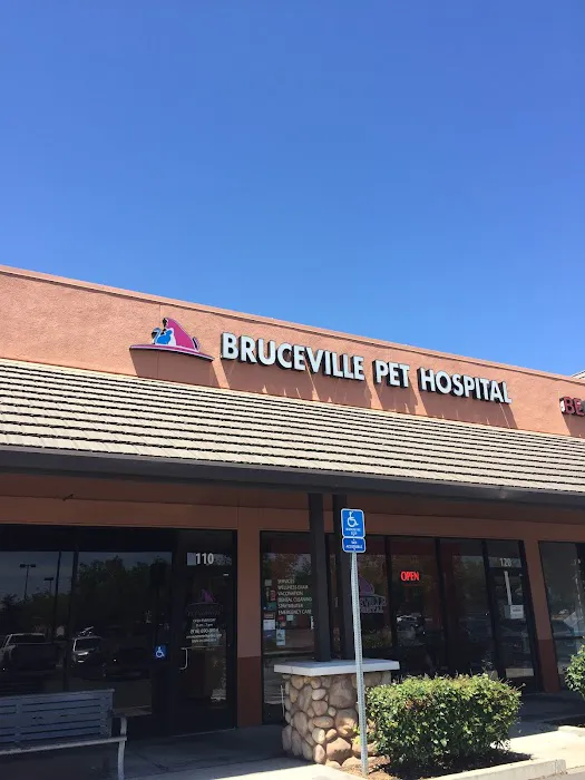 Bruceville Pet Hospital Picture 1