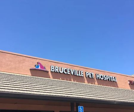 Bruceville Pet Hospital