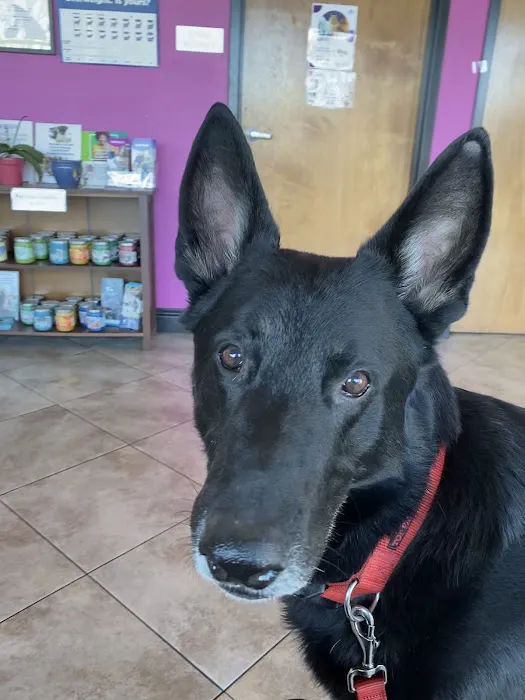 Bruceville Pet Hospital Picture 8