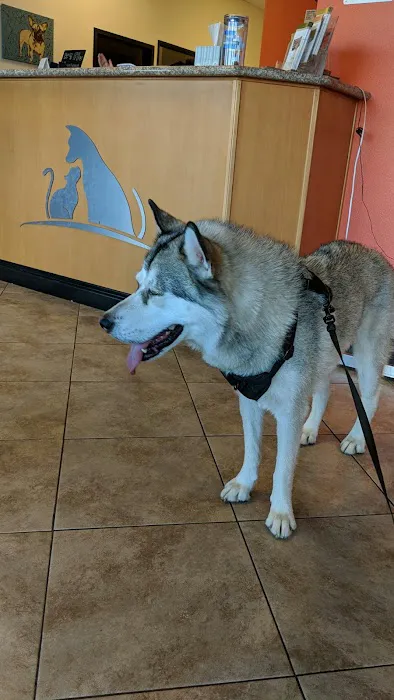 Bruceville Pet Hospital Picture 7
