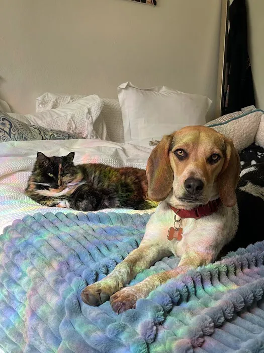Grantline Veterinary Hospital Picture 9
