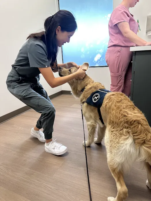 Fair Oaks Pet Hospital Picture 8