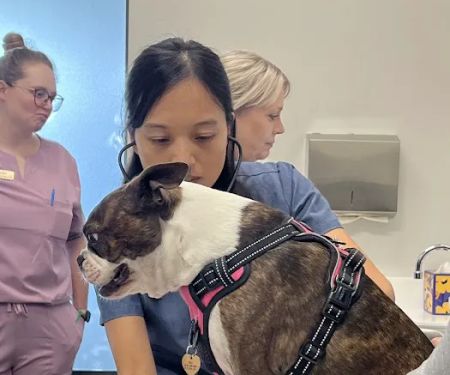 Fair Oaks Pet Hospital