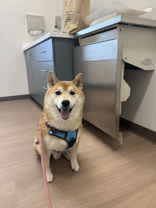 Fair Oaks Pet Hospital Picture 9