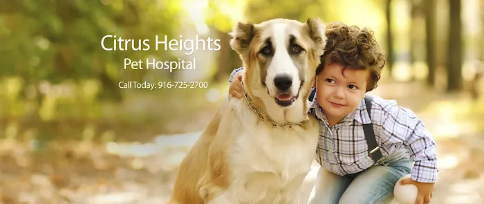 Citrus Heights Pet Hospital Picture 10