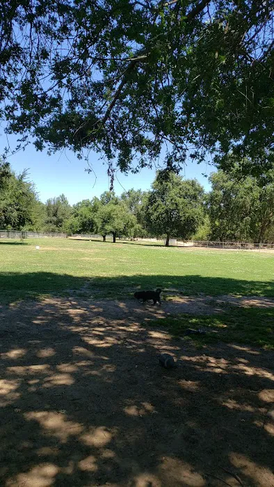 Citrus Heights Pet Hospital Picture 8