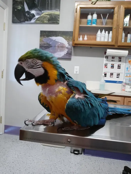 Madison Avenue Veterinary Clinic Picture 4